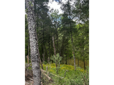 (private lake, pond, creek) Lot For Sale in Bagdad Kentucky