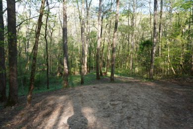 ENGLISH CREEK FRONTAGE - photo 19