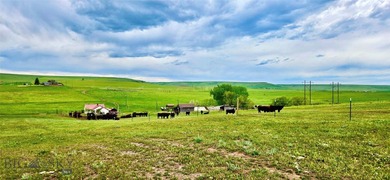 Located just south of Great Falls in Cascade County, this - photo 6