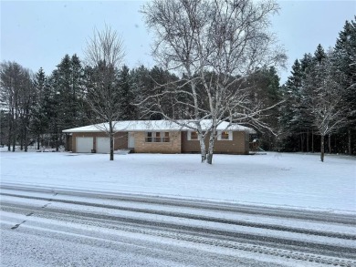Mississippi River - Morrison County Home For Sale in Little Falls Minnesota