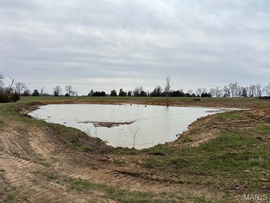 (private lake, pond, coastal) Acreage For Sale in Monroe City Missouri