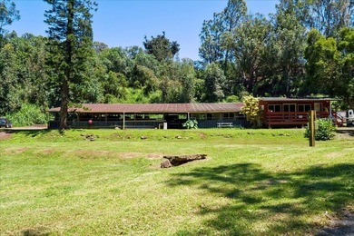 If home is where your horse is, try imagining yourself on this 9 - photo 1