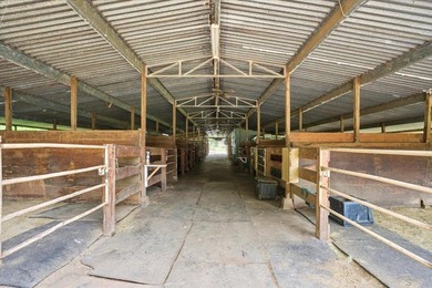 If home is where your horse is, try imagining yourself on this 9 - photo 8