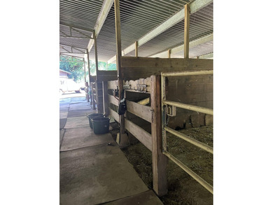 If home is where your horse is, try imagining yourself on this 9 - photo 10