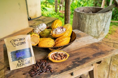 Exclusive Cacao Farm & Luxury Retreat in San Gerardo, Parrita - - photo 1