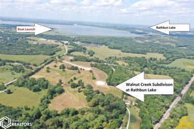 Rathbun Lake Acreage For Sale in Centerville Iowa