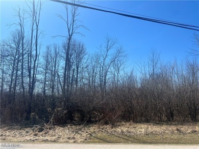 (private lake, pond, creek) Lot For Sale in Roaming Shores Ohio