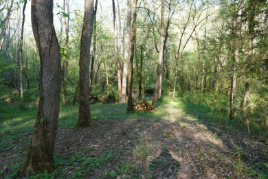 ENGLISH CREEK FRONTAGE - photo 4