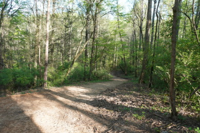ENGLISH CREEK FRONTAGE - photo 17