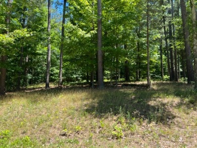 Beautiful views of Rough River Lake surrounded by pine trees! - Lake Lot For Sale in Falls Of Rough, Kentucky