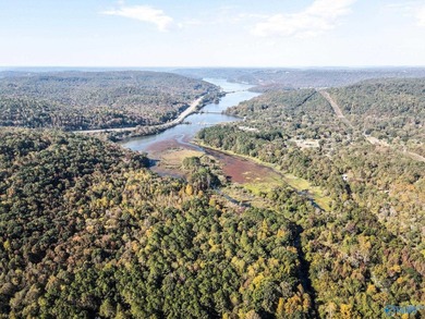 Take the opportunity to own a stunning 63-acre wooded bluffland - photo 11