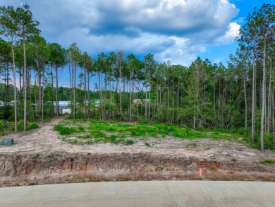 Are you looking for the perfect place to build your dream home - Lake Lot For Sale in Brookeland, Texas