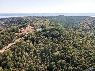 Take the opportunity to own a stunning 63-acre wooded bluffland - photo 12