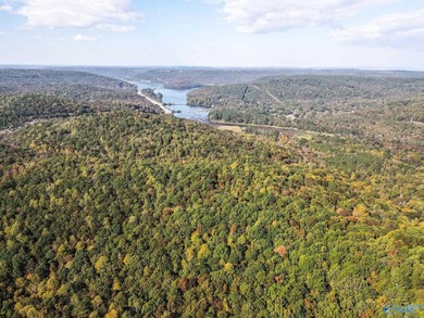 Take the opportunity to own a stunning 63-acre wooded bluffland - photo 13