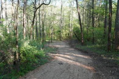 ENGLISH CREEK FRONTAGE - photo 18