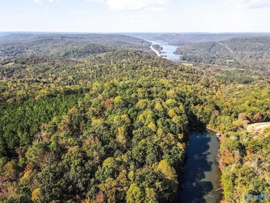 Take the opportunity to own a stunning 63-acre wooded bluffland - photo 14