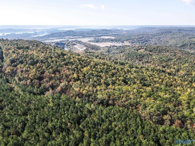 Take the opportunity to own a stunning 63-acre wooded bluffland - photo 15