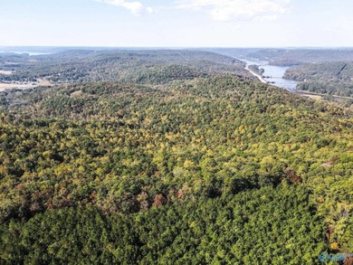 Take the opportunity to own a stunning 63-acre wooded bluffland - photo 16