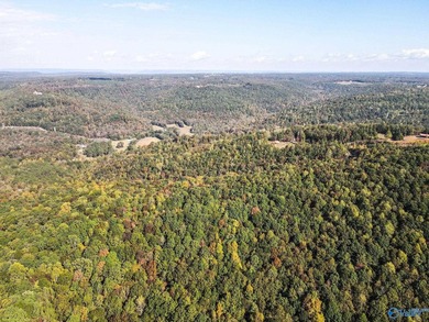 Take the opportunity to own a stunning 63-acre wooded bluffland - photo 17