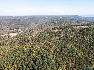 Take the opportunity to own a stunning 63-acre wooded bluffland - photo 18