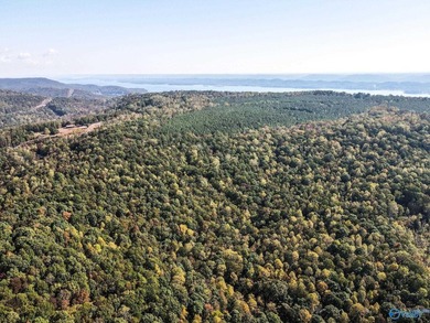 Take the opportunity to own a stunning 63-acre wooded bluffland - photo 19
