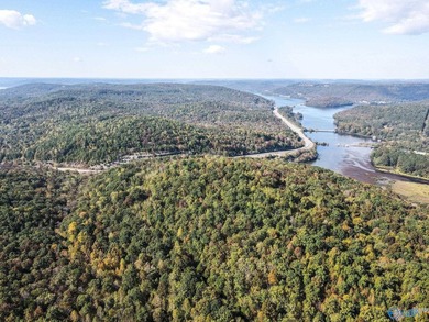 Take the opportunity to own a stunning 63-acre wooded bluffland - photo 20