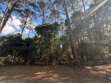 1/3 of an acre on Daufuskie Island with No HOA awaits! Live on - photo 1