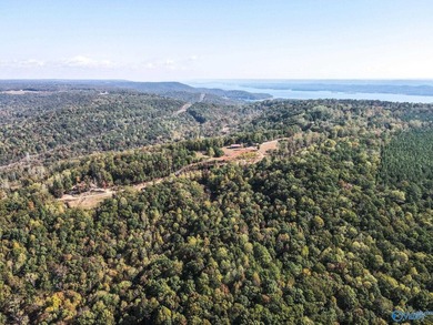 Take the opportunity to own a stunning 63-acre wooded bluffland - photo 21