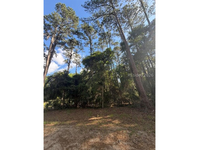 1/3 of an acre on Daufuskie Island with No HOA awaits! Live on - photo 2
