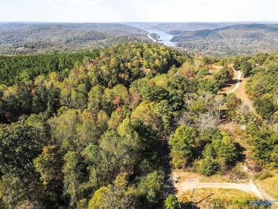 Take the opportunity to own a stunning 63-acre wooded bluffland - photo 22