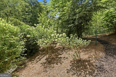 Bordering protected U.S. Forest Land in the heart of the Blue - photo 23