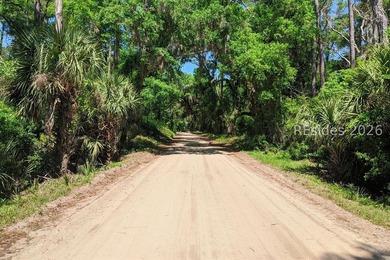 1/3 of an acre on Daufuskie Island with No HOA awaits! Live on - photo 8