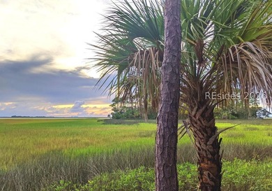 1/3 of an acre on Daufuskie Island with No HOA awaits! Live on - photo 9