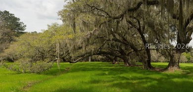 1/3 of an acre on Daufuskie Island with No HOA awaits! Live on - photo 10