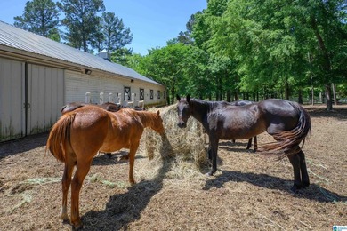 Equestrian Dream on Lay Lake! Welcome to an equestrian lover's - photo 35
