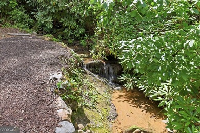 Bordering protected U.S. Forest Land in the heart of the Blue - photo 35