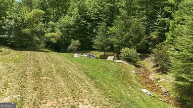 Bordering protected U.S. Forest Land in the heart of the Blue - photo 36