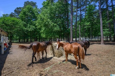 Equestrian Dream on Lay Lake! Welcome to an equestrian lover's - photo 37