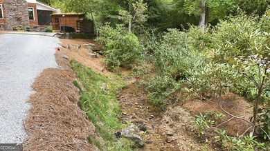 Bordering protected U.S. Forest Land in the heart of the Blue - photo 38