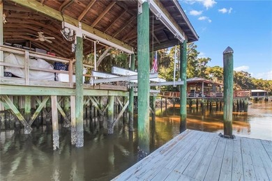 Private Deep Water Dock with Lift and Screened area. Nestled - photo 40