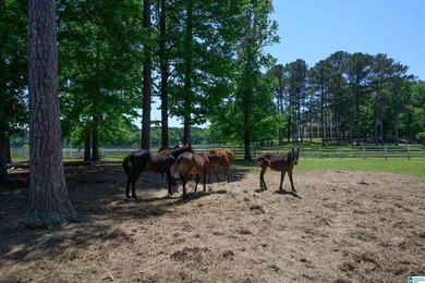 Equestrian Dream on Lay Lake! Welcome to an equestrian lover's - photo 42