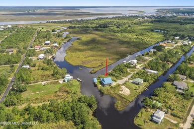 Waterfront, fully furnished, and turnkey - this Bay St. Louis - photo 47