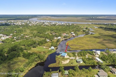 Waterfront, fully furnished, and turnkey - this Bay St. Louis - photo 48