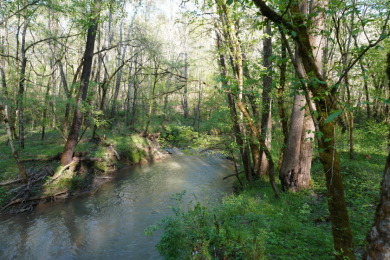 ENGLISH CREEK FRONTAGE - photo 3