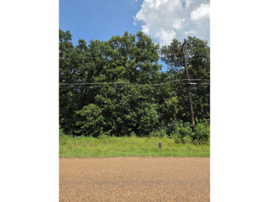Lake Lot For Sale in Mabank, Texas