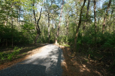 ENGLISH CREEK FRONTAGE - photo 11