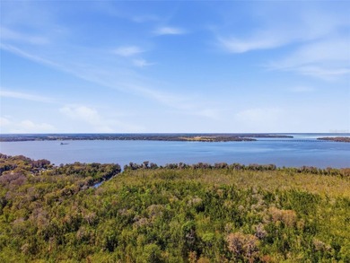 Little Lake Harris Acreage For Sale in Astatula Florida