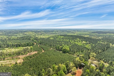 Discover the perfect blend of seclusion, natural beauty and - photo 6