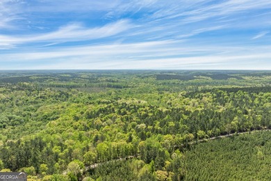 Discover the perfect blend of seclusion, natural beauty and - photo 10