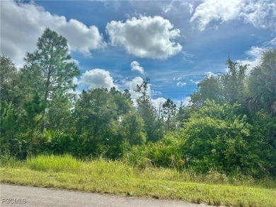 Lehigh Acres Area Lot For Sale in Lehigh Acres Florida